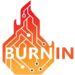 BurnInTest logo icon for hardware stress testing, system reliability checks, and performance diagnostics on Windows PCs and servers
